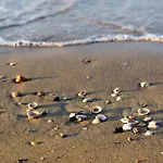 In 53196 Bibione